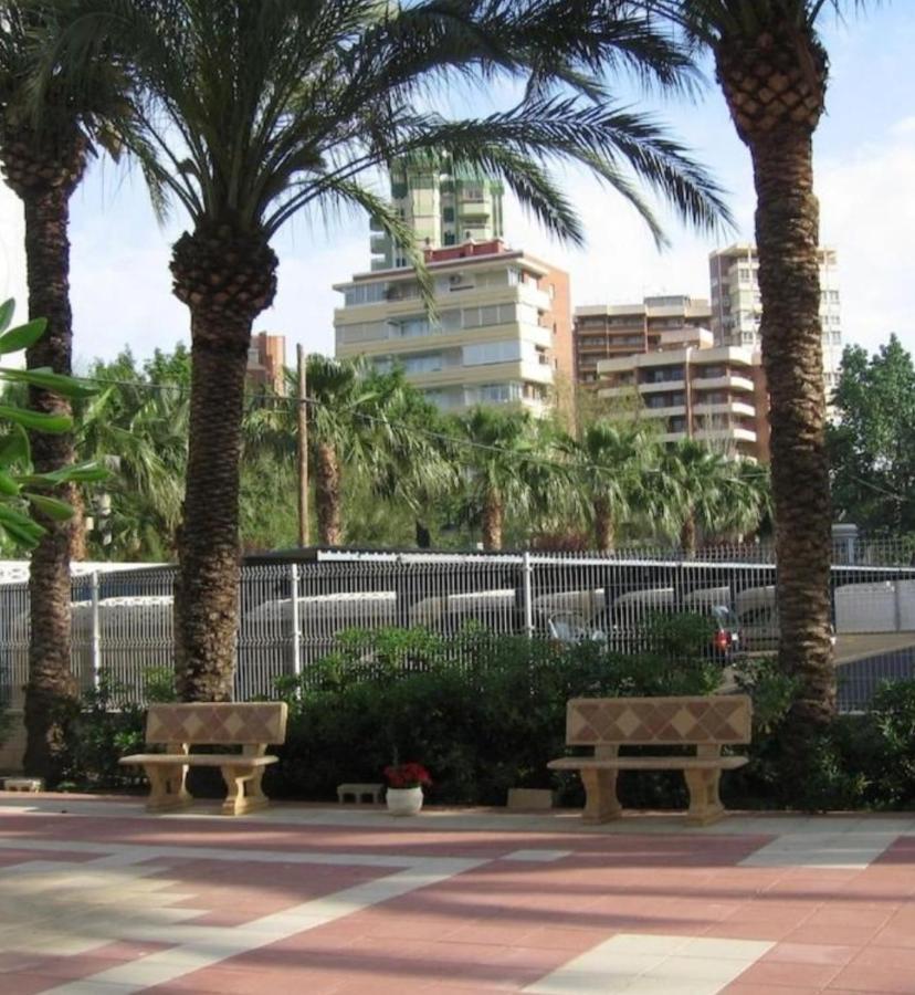 Levante First Line Yago Beachfront Spatial *